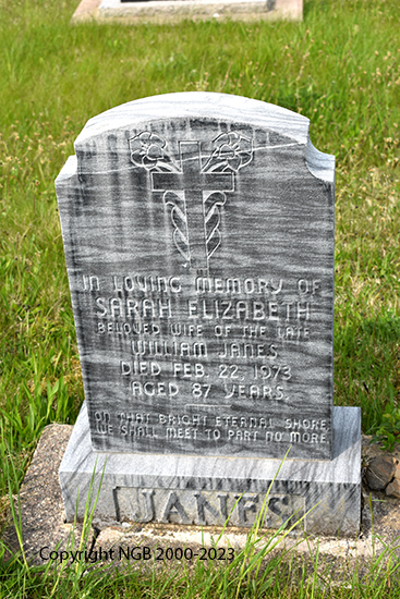 Sarah Elizabeth Janes