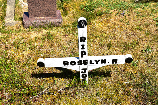 Roselyn H. Joe