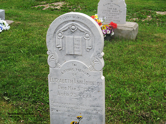 Elizabeth Ann Johnson