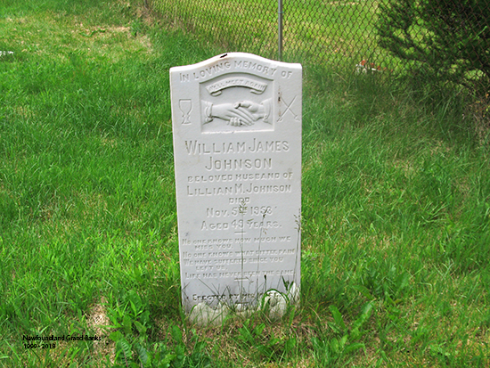 William James Johnson