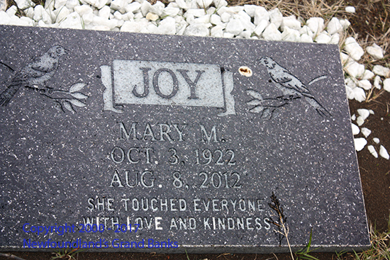 Mary M Joy