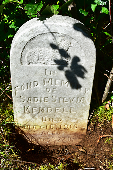 Sadie Silvia Kendell