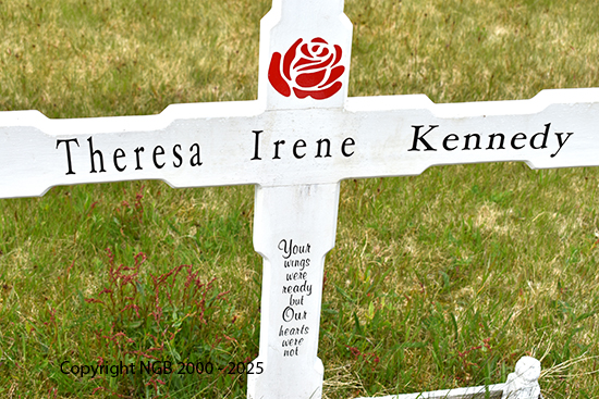 Theresa Irene Kennedy