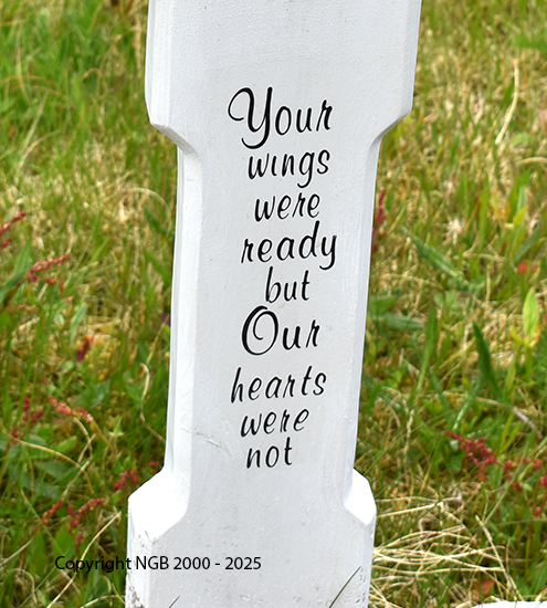 Theresa Irene Kennedy