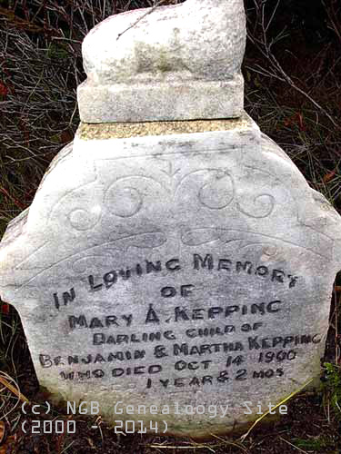Mary A. Keppinc