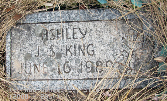 Ashley J. S. King