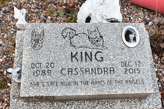Cassandra King