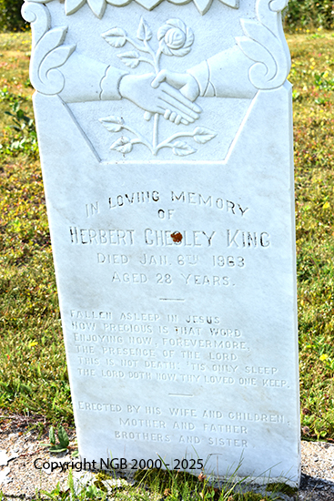 Herbert Chesley King