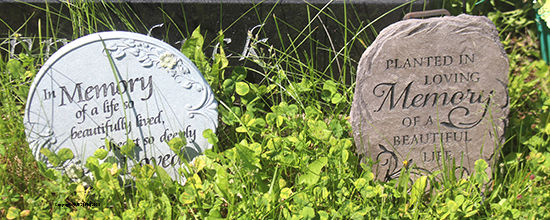 Edgar George Kippenhuck