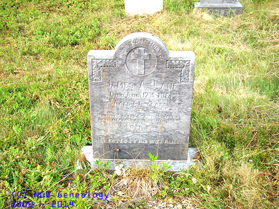 James Lane