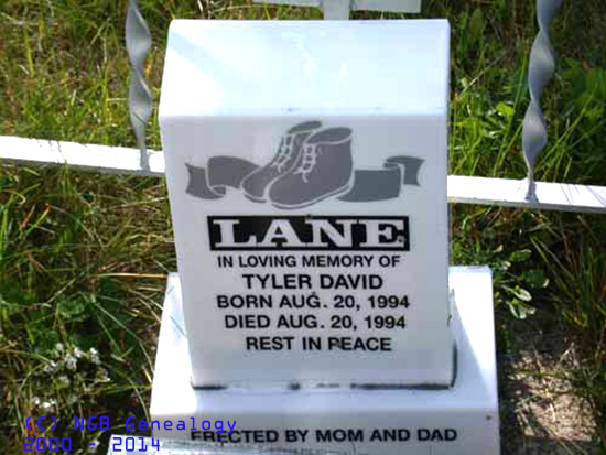 Tyler David LANE