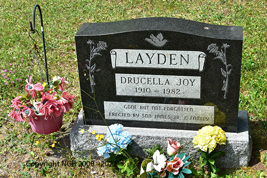 Drucella Joy Layden