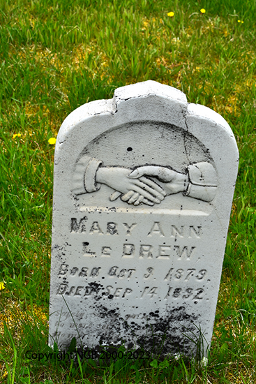 Mary Ann LeDrew