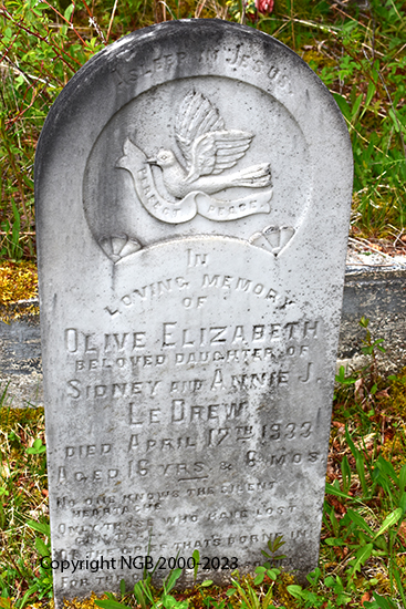 Olive Elizabeth LeDrew