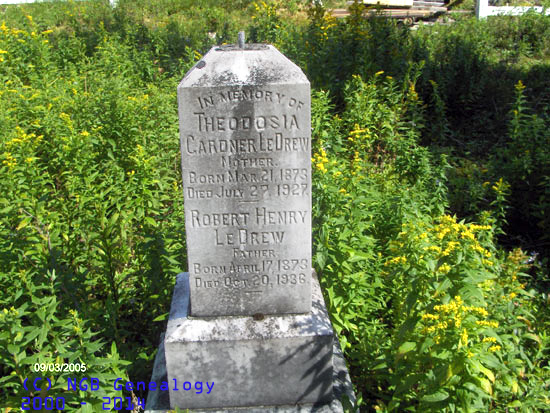 Theodesia and Robert LeDrew