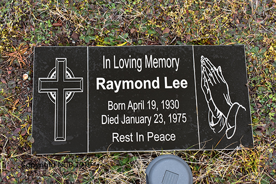 Raymond Lee