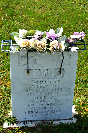 Audrey, Annie & Elizabeth Lewis