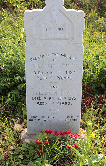 Francis & Elizabeth Lewis