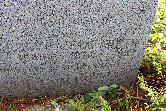 George & Elizabeth Lewis