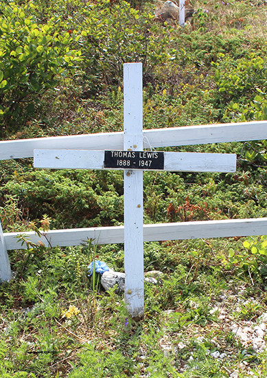 Thomas Lewis