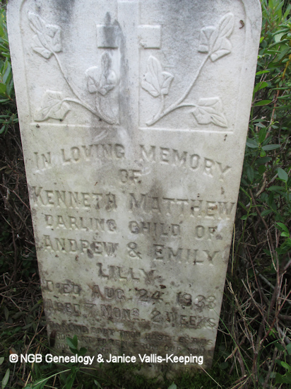 Kenneth Matthew Lilly