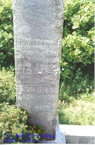 Lily, Roy and Nathan Newell Headstone