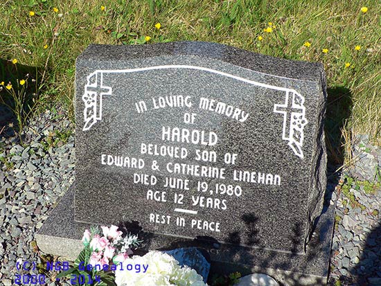 Harold Linehan