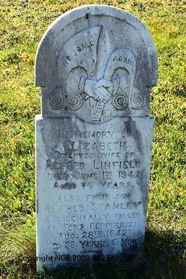 Elizabeth & Alfred Linfield