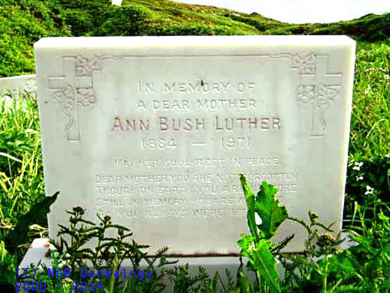 Ann Bush Luther