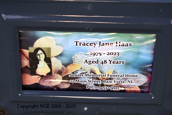 Tracey Jane Haas