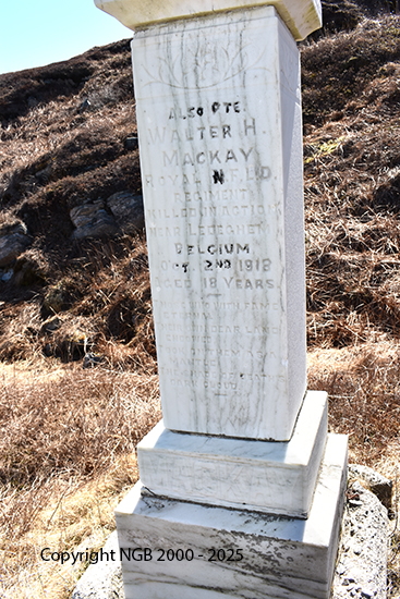 Walter H. MacKay
