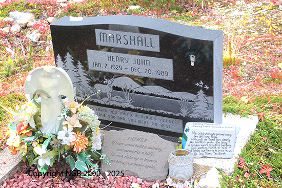 Henry John Marshall