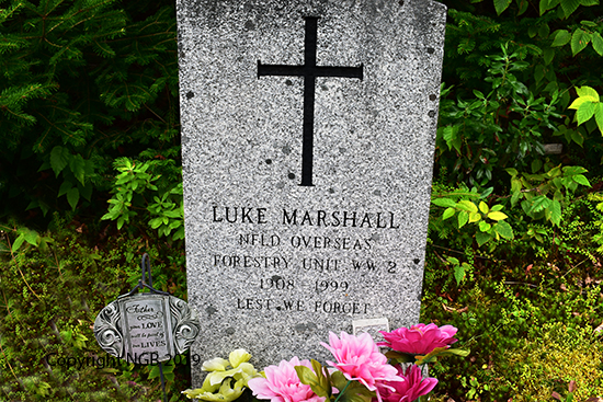 Luke Marshall