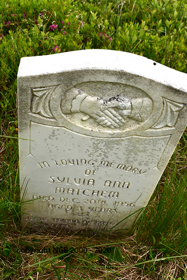 Sylvia Ann Matchemk
