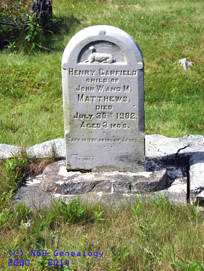 Henry Garfield Matthews