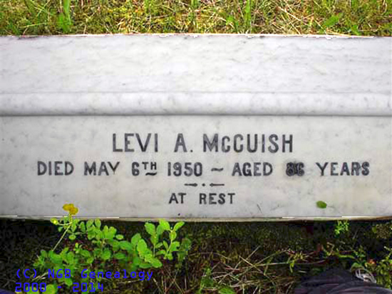 Levi A. McCuish