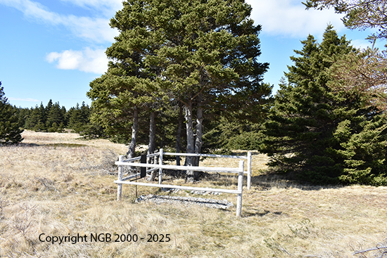 McFatridge Family Plot