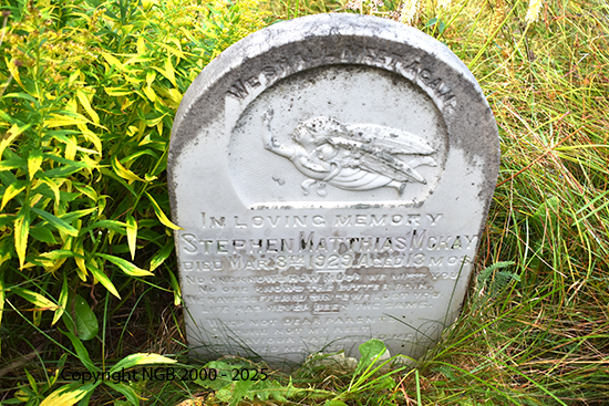 Stephen Matthias McKay