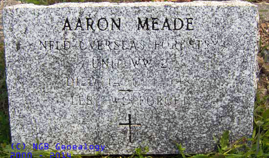 Aaron Meade