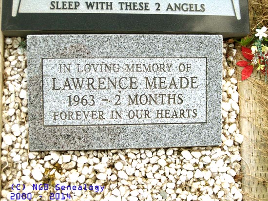Lawrence Meade