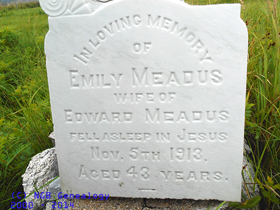 Emily Meadus