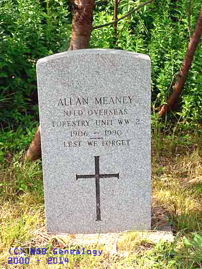 Allan Meaney