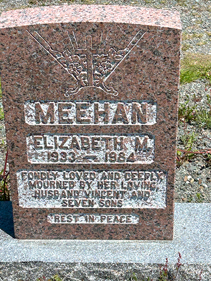 Elizabeth Meehan