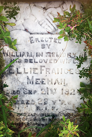 Ellie Frances Meehan