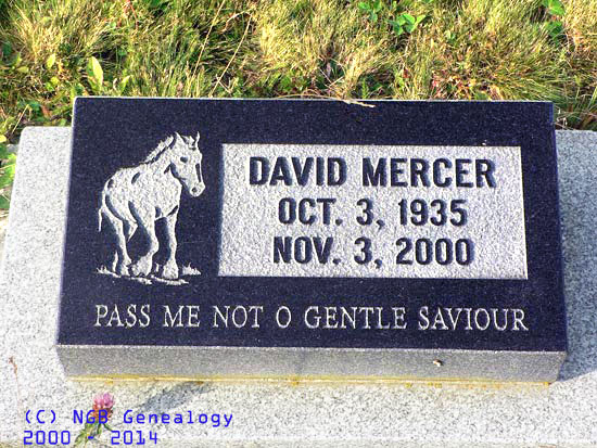 David Mercer