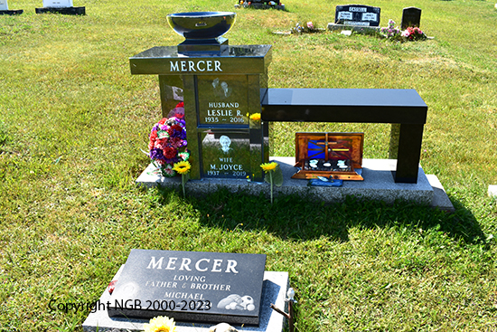 Leslie R., M. Joyce & Michael Mercer