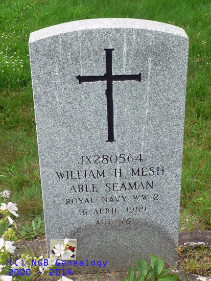 William Mesh