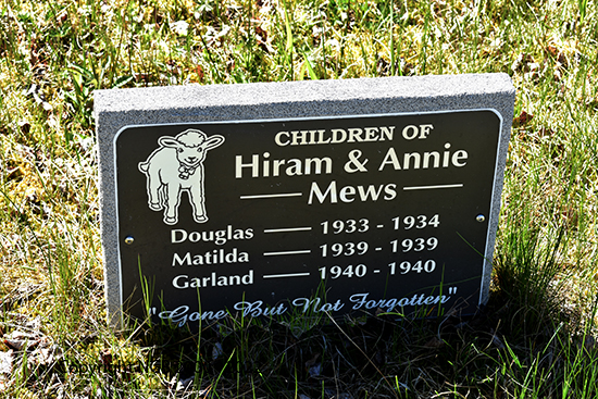 Douglas, Matilda & Garland Mews