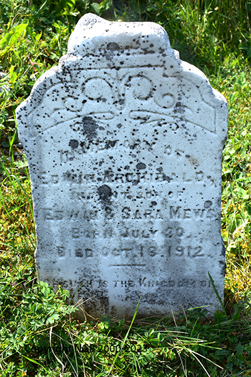 Edwin Archibald Mews