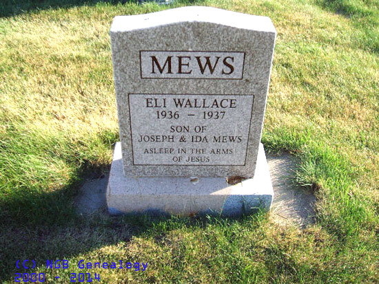 Eli Wallace Mews